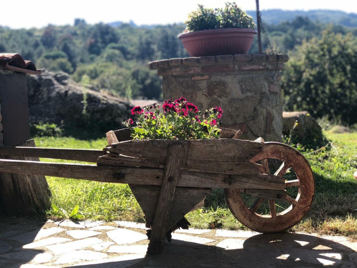 Podere Mazzarelle Castel del Piano  Exterior photo